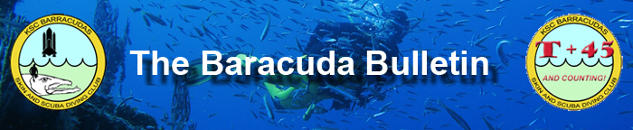 Barracuda Bulletin masthead